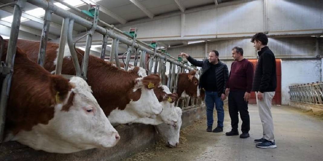 Patronundan maaş beklerken şimdi o maaş veriyor! Arabasını satıp girdiği işte köşeyi döndü 5